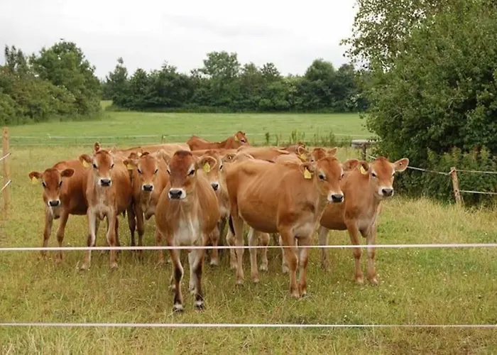 Gite A La Ferme, Au Coeur Du Mene