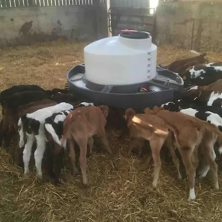 Gite A La Ferme, Au Coeur Du Mene Laurenan Buitenkant foto